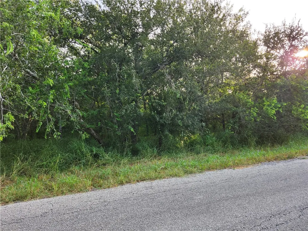 Sandy Hollow Drive Robstown, TX 78380
