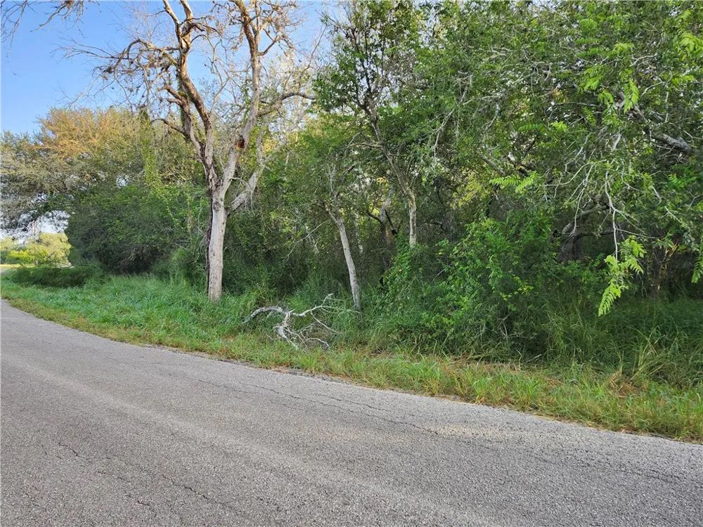 Sandy Hollow Drive Robstown, TX 78380