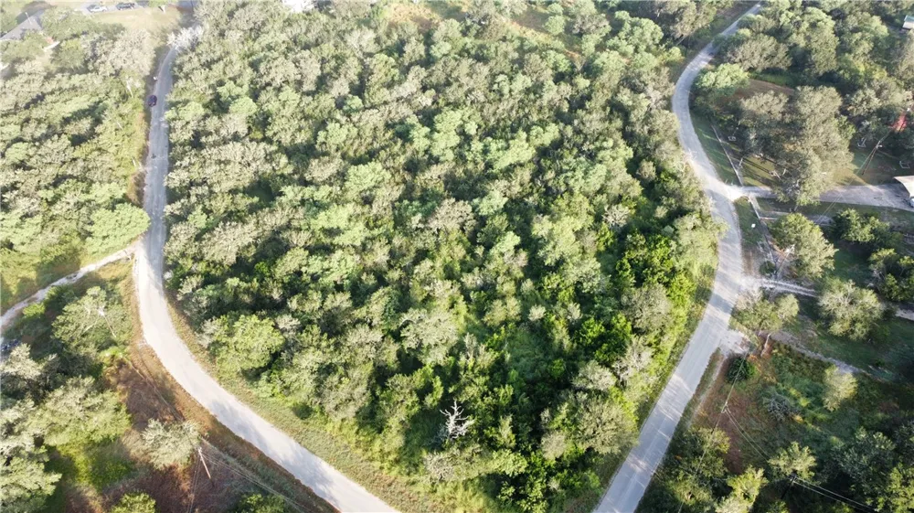 Sandy Hollow Drive Robstown, TX 78380