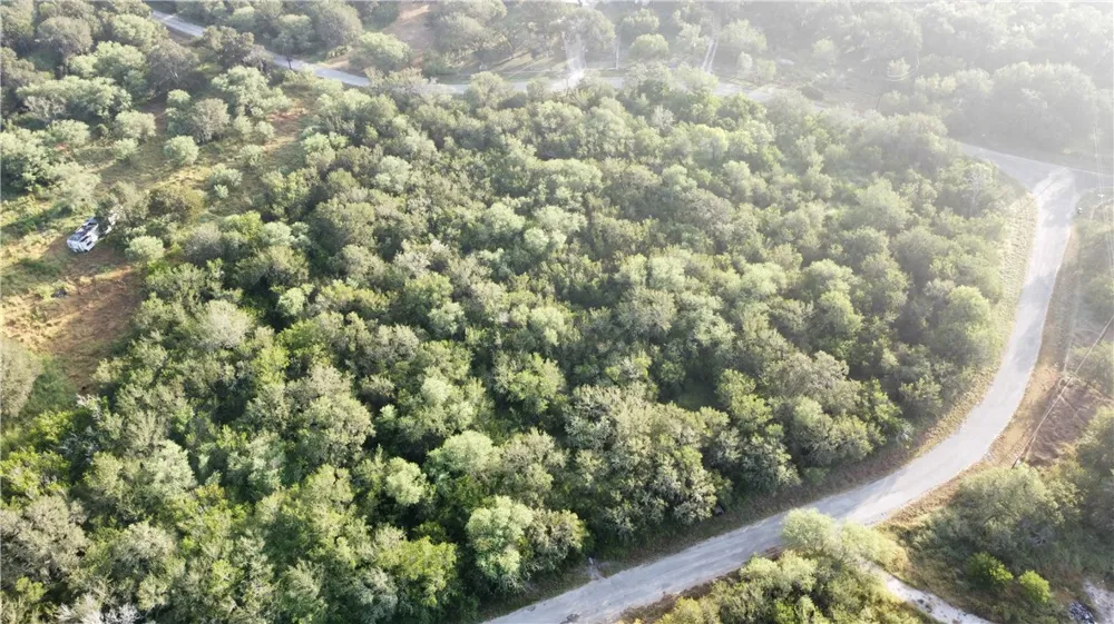 Sandy Hollow Drive Robstown, TX 78380