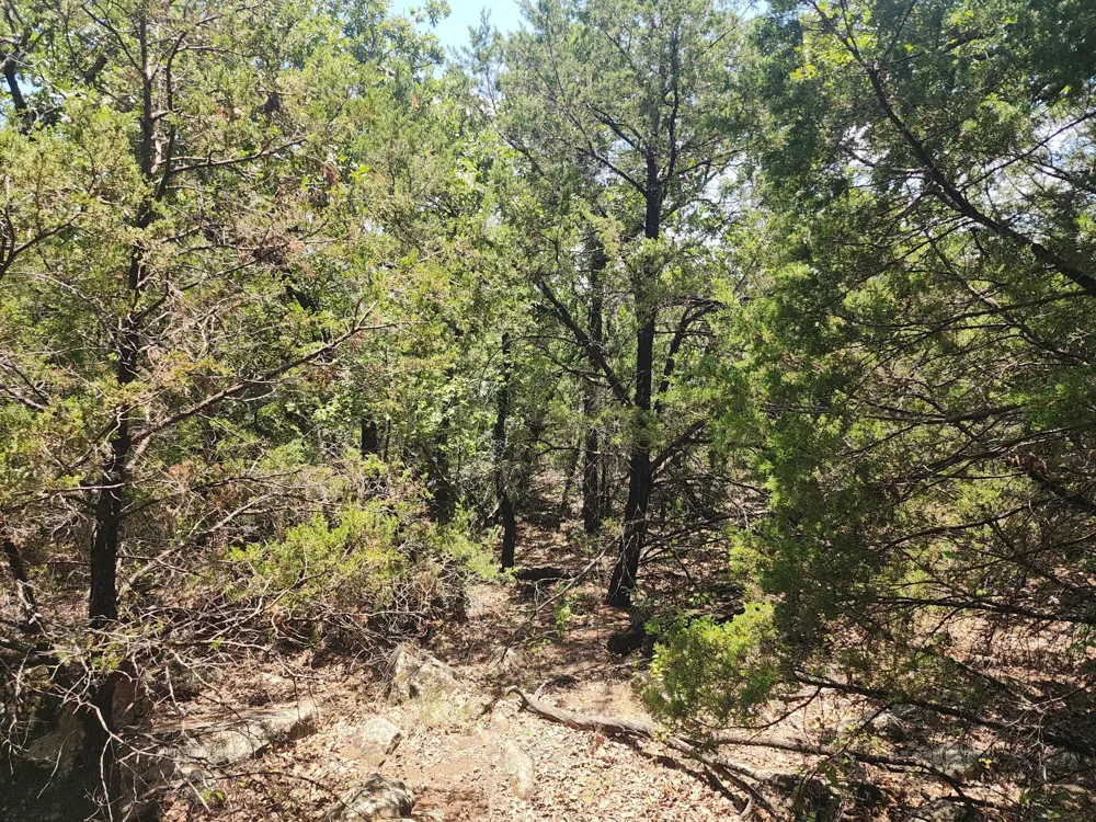 2784 Highway 180 W Mineral Wells, TX 76067