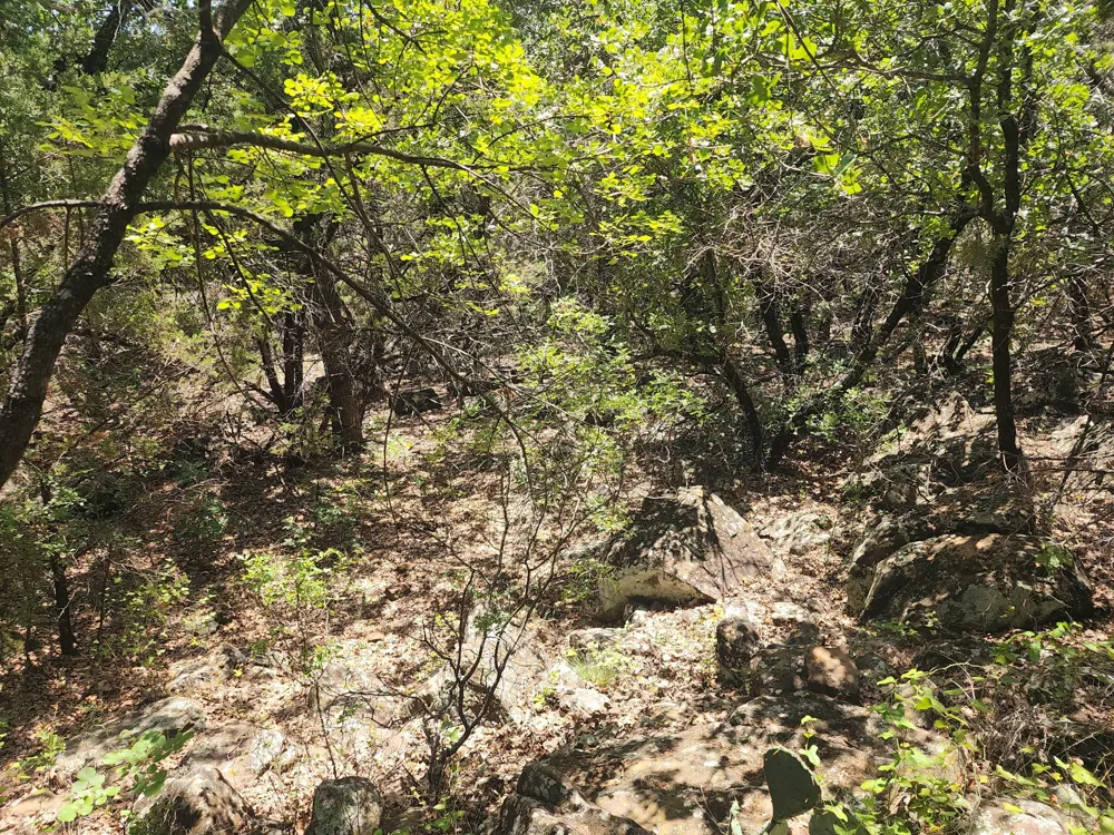 2784 Highway 180 W Mineral Wells, TX 76067