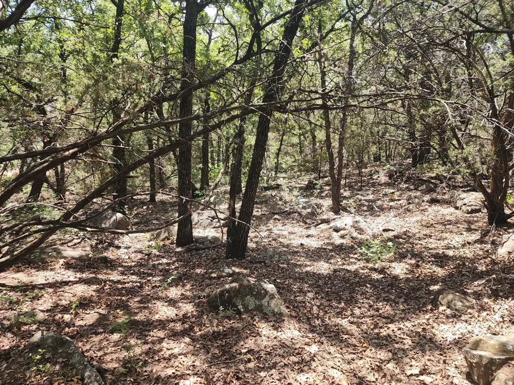 2784 Highway 180 W Mineral Wells, TX 76067