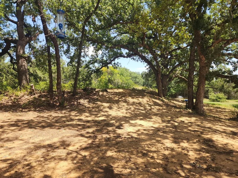2784 Highway 180 W Mineral Wells, TX 76067