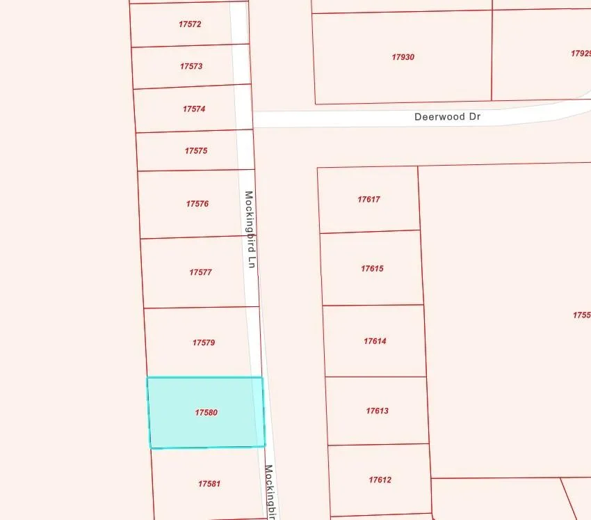17580 Mockingbird Lane Hempstead, TX 77445