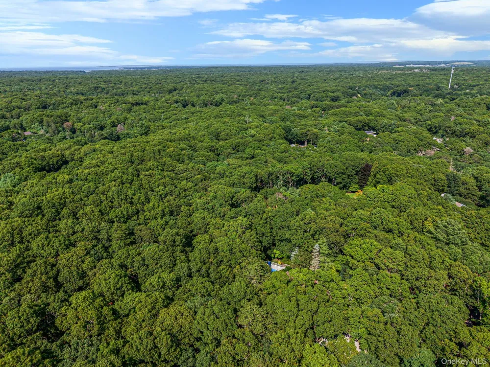 16 Joshuas Path East Hampton, NY 11937