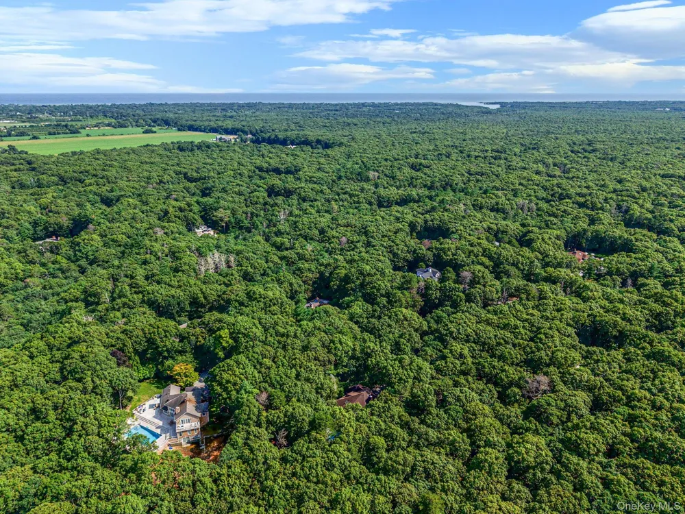 16 Joshuas Path East Hampton, NY 11937