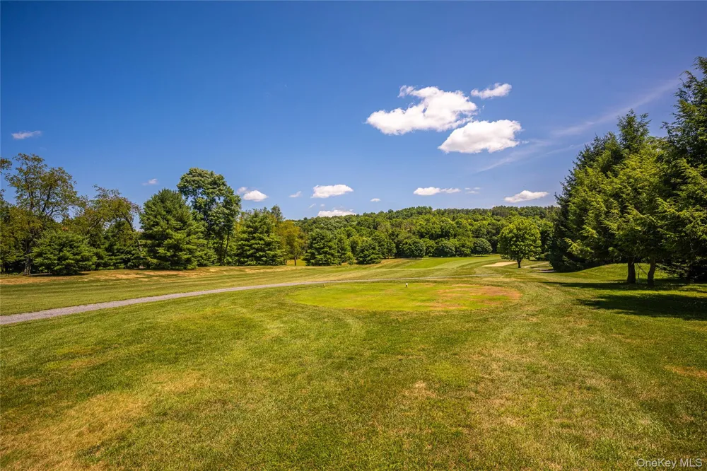 66 Tee Lane Red Hook, NY 12571