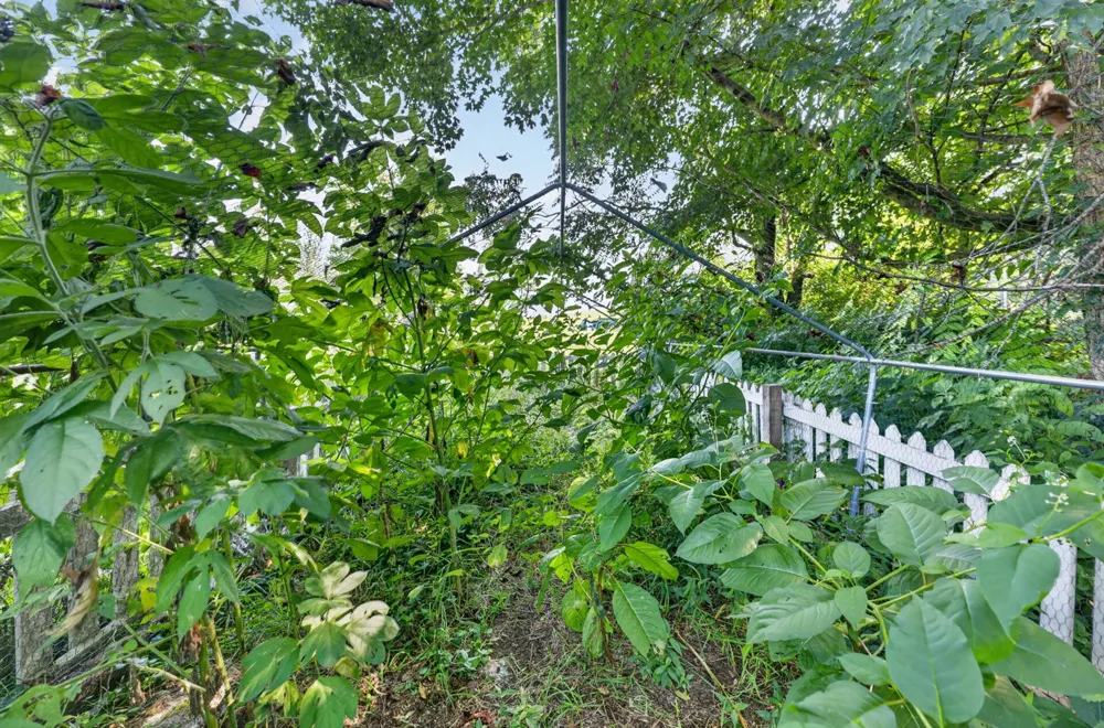 2155 Oak Knob Rd Lafayette, TN 37083