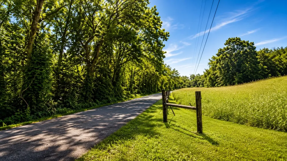539 Wallace Rd Gallatin, TN 37066