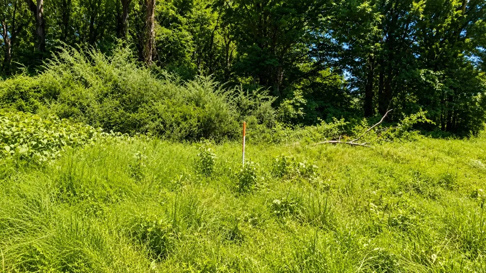 539 Wallace Rd Gallatin, TN 37066