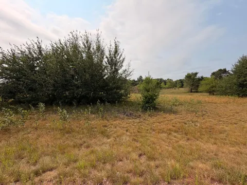 1961 Nelson Lake Road