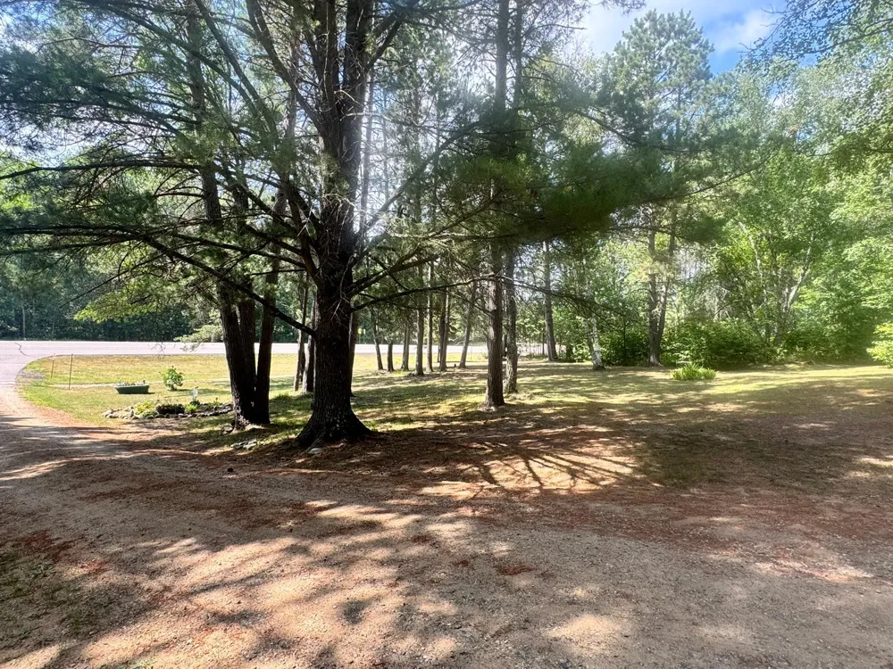 22034 County 2 Nevis, MN 56467