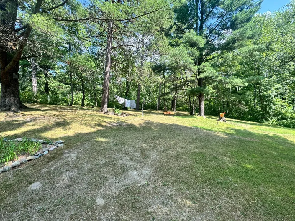 22034 County 2 Nevis, MN 56467