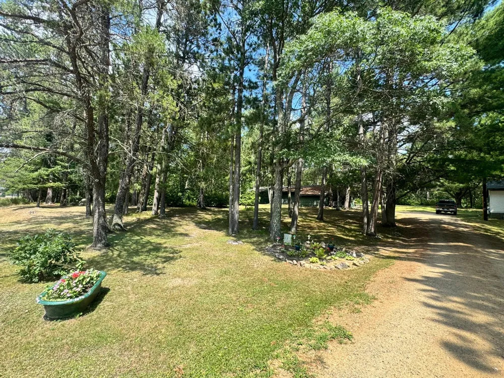 22034 County 2 Nevis, MN 56467