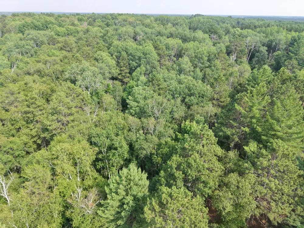 22034 County 2 Nevis, MN 56467