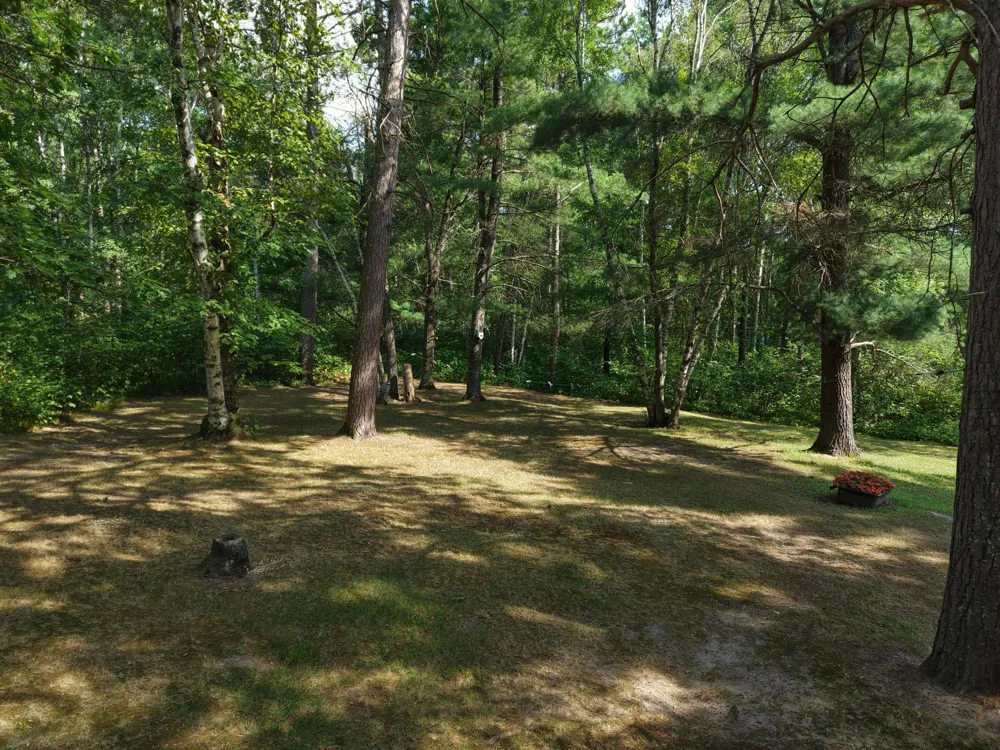 22034 County 2 Nevis, MN 56467