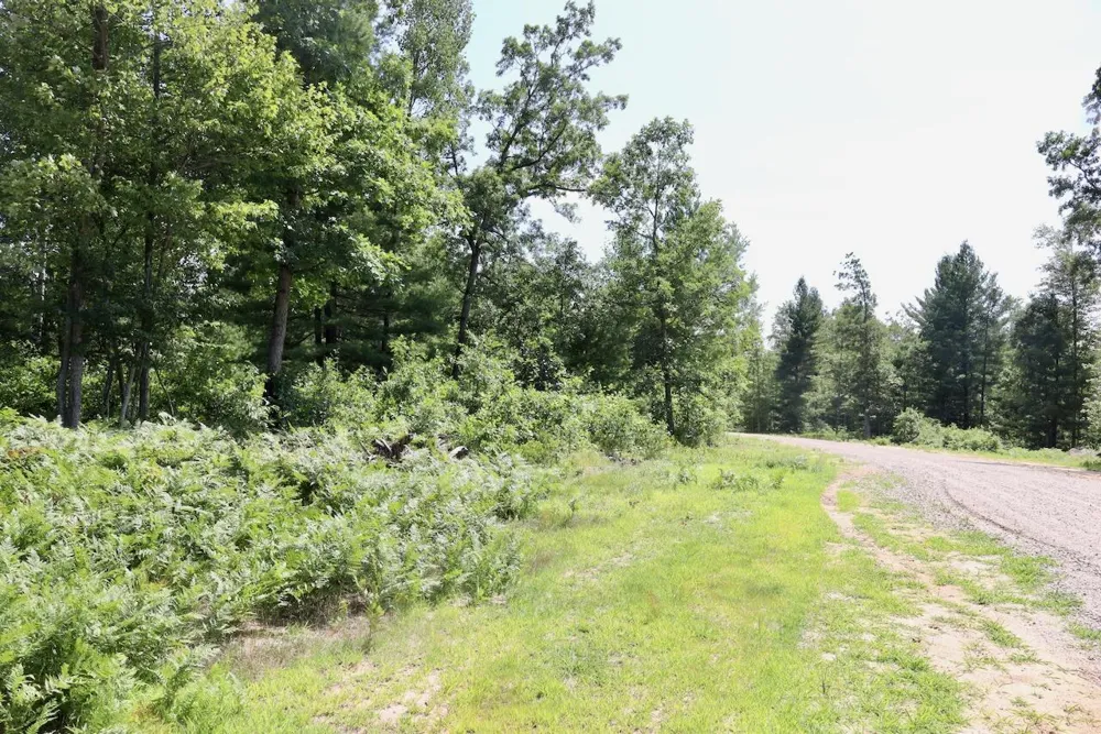 4 Down To Earth Way Prescott, MI 48756