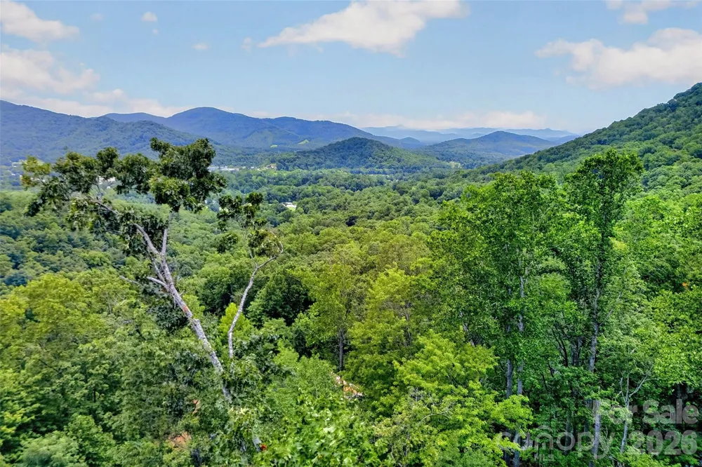 32 Nellie Bell Lane Swannanoa, NC 28778