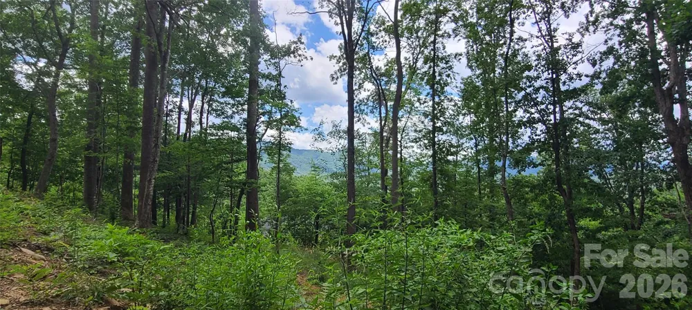 32 Nellie Bell Lane Swannanoa, NC 28778