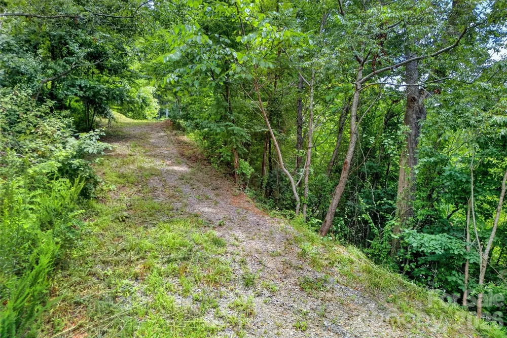 32 Nellie Bell Lane Swannanoa, NC 28778