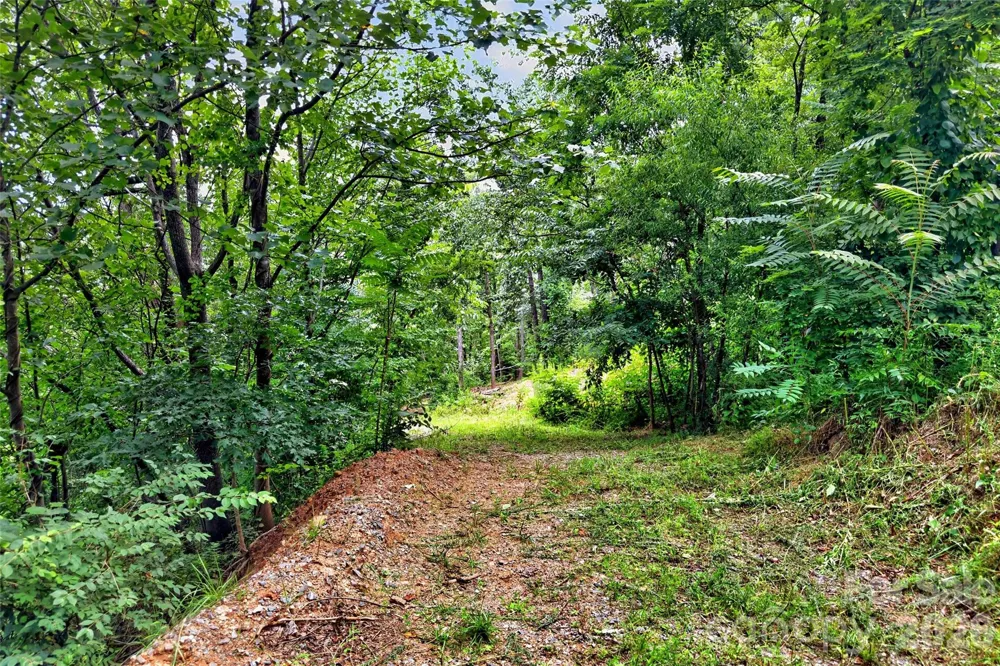 32 Nellie Bell Lane Swannanoa, NC 28778