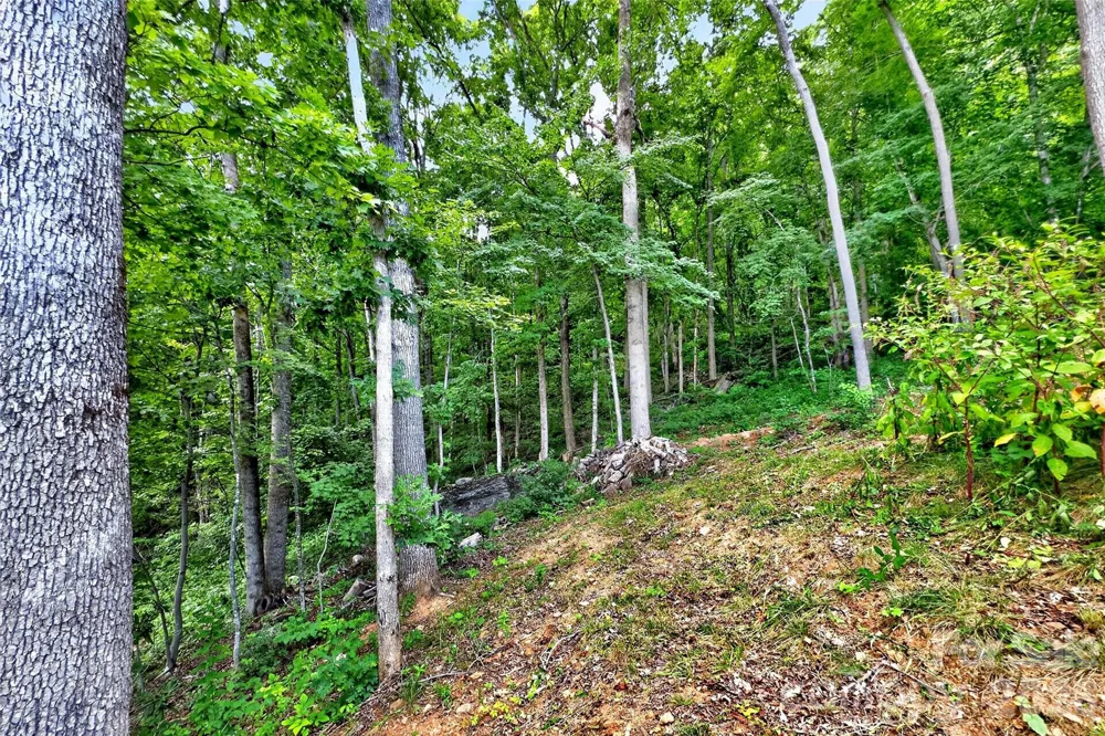 32 Nellie Bell Lane Swannanoa, NC 28778