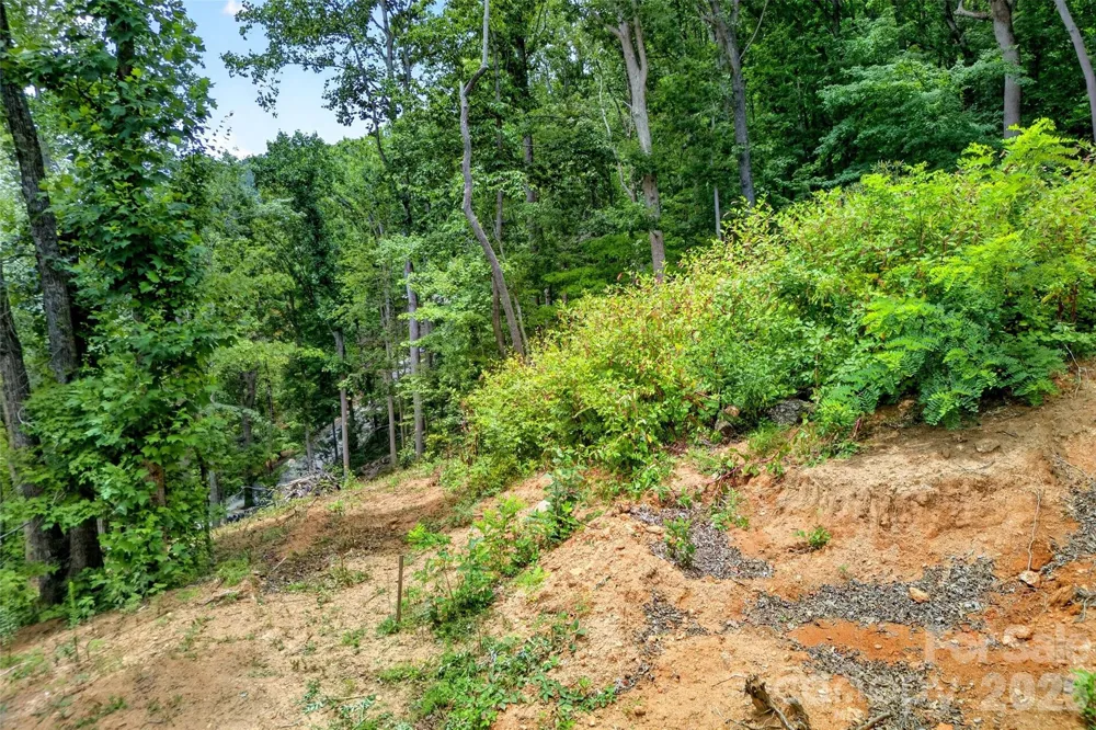 32 Nellie Bell Lane Swannanoa, NC 28778