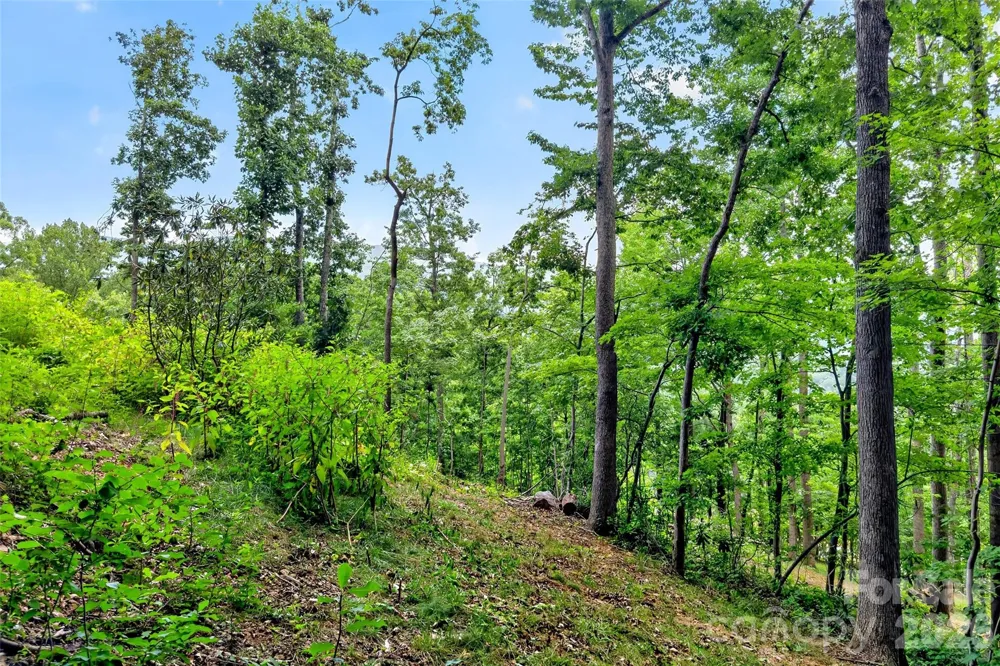 32 Nellie Bell Lane Swannanoa, NC 28778