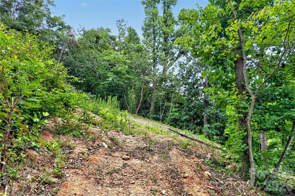 32 Nellie Bell Lane Swannanoa, NC 28778
