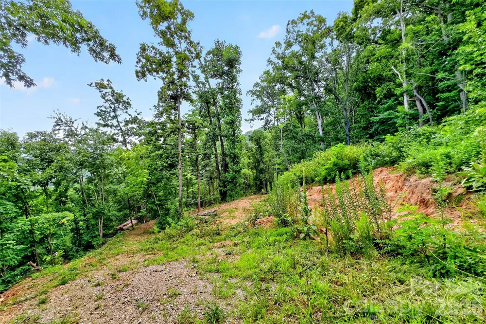 32 Nellie Bell Lane Swannanoa, NC 28778