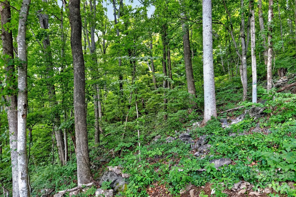 32 Nellie Bell Lane Swannanoa, NC 28778