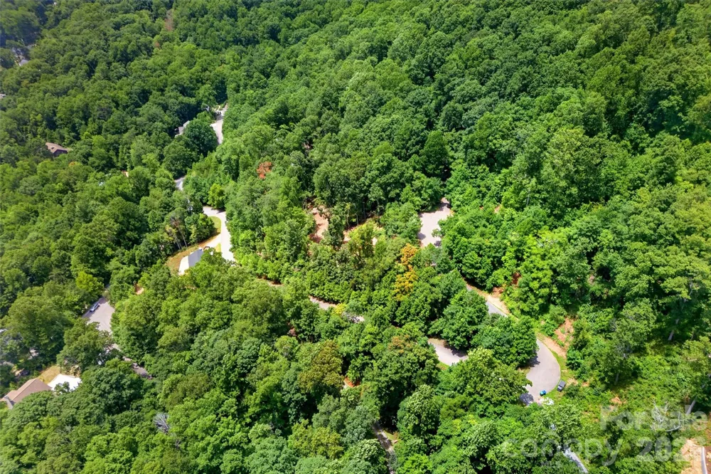 32 Nellie Bell Lane Swannanoa, NC 28778