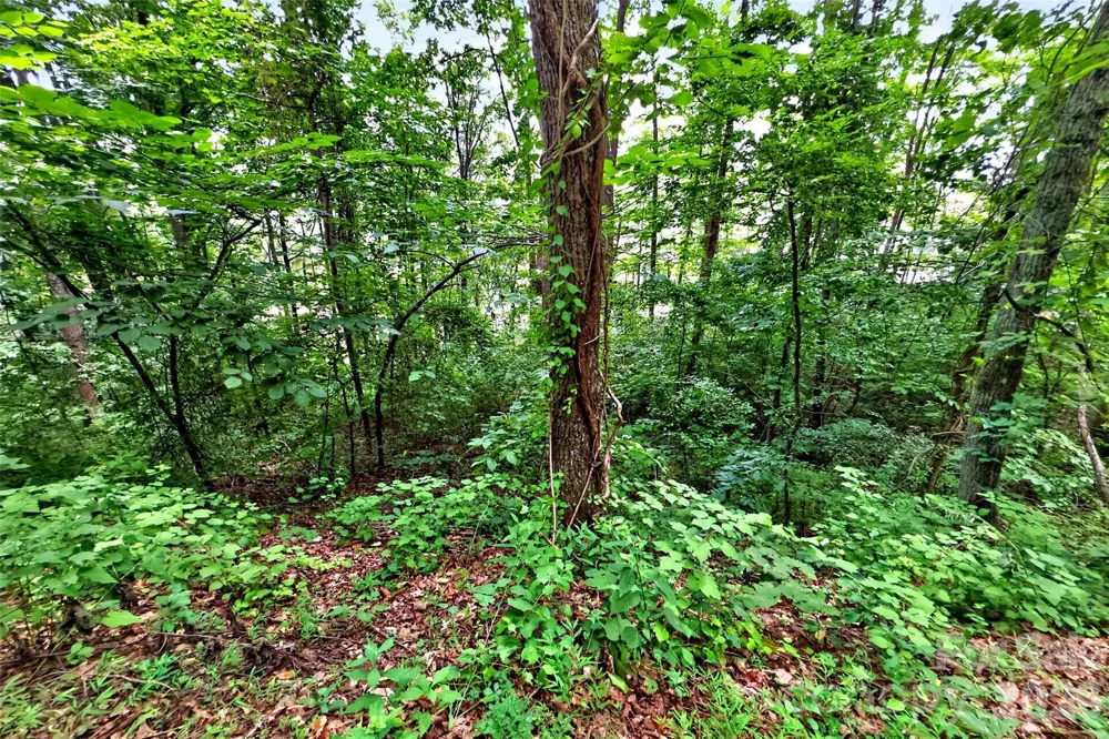 32 Nellie Bell Lane Swannanoa, NC 28778