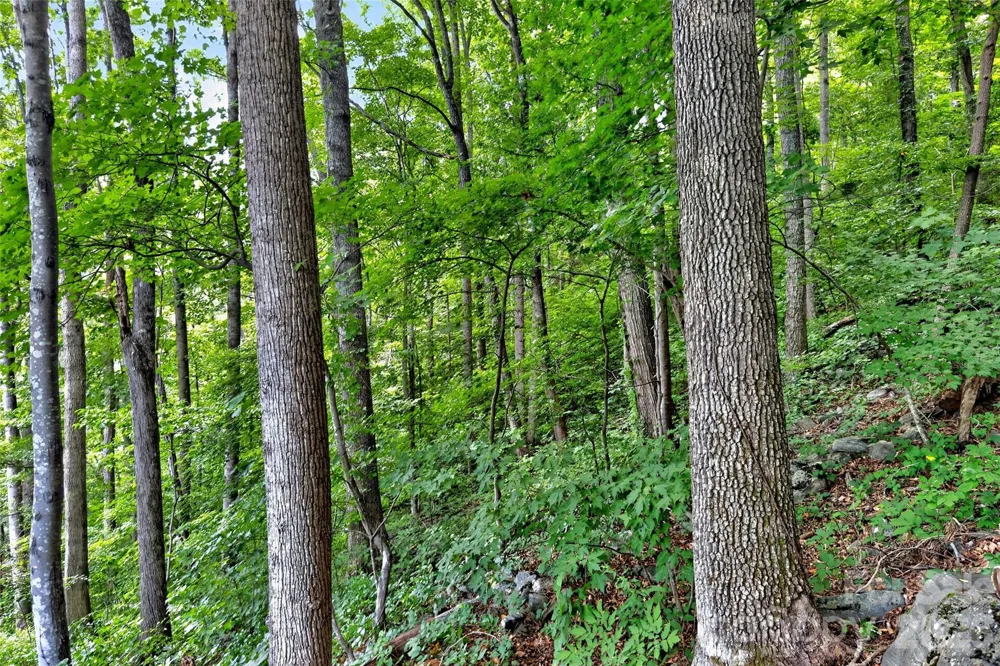 32 Nellie Bell Lane Swannanoa, NC 28778
