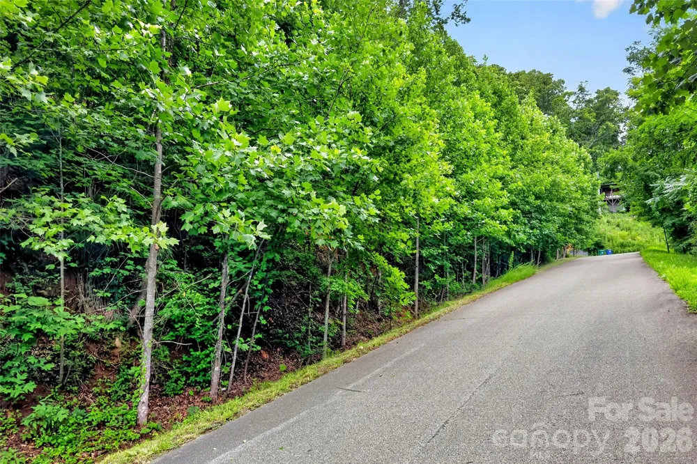 32 Nellie Bell Lane Swannanoa, NC 28778