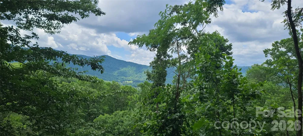 32 Nellie Bell Lane Swannanoa, NC 28778