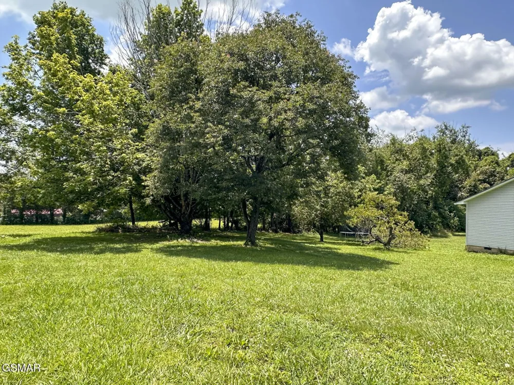 2105 Walnut Street White Pine, TN 37890