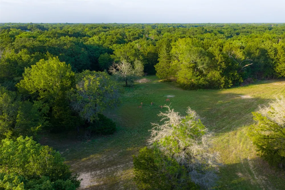10100 County Road 4028 Kemp, TX 75143