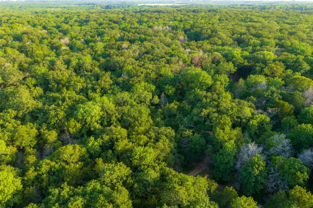 10100 County Road 4028 Kemp, TX 75143