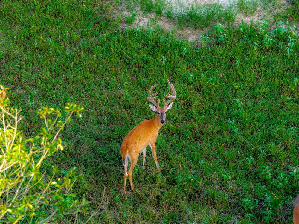 10100 County Road 4028 Kemp, TX 75143