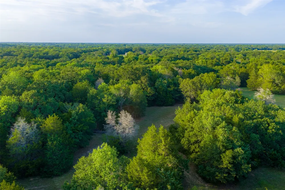 10100 County Road 4028 Kemp, TX 75143
