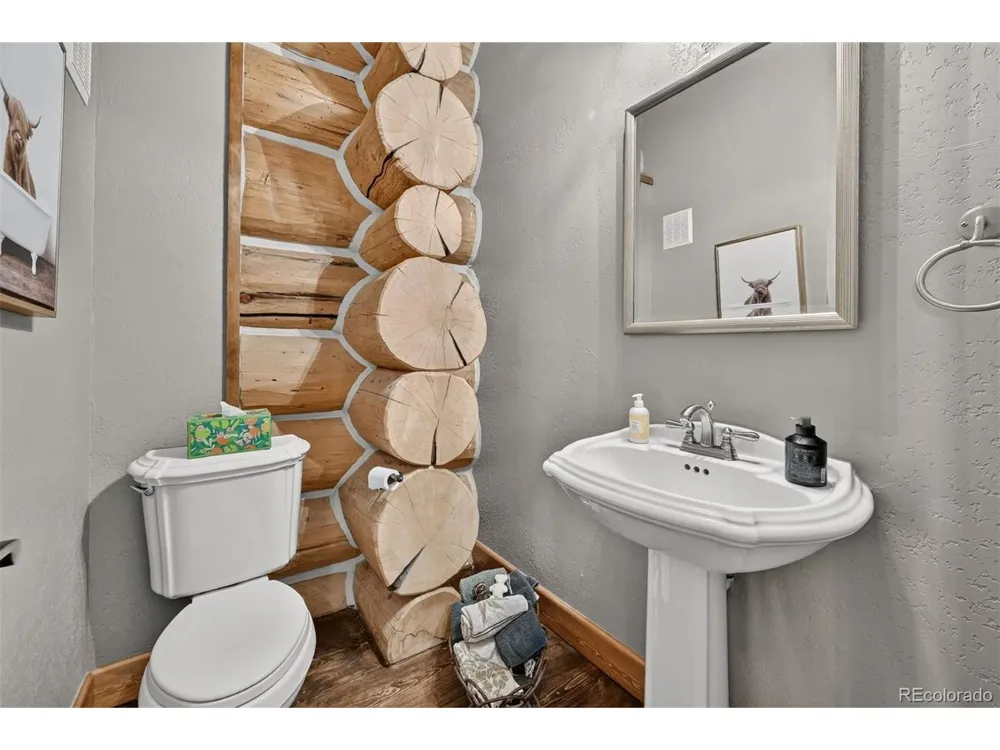 203 Kens Road Fairplay, CO 80440