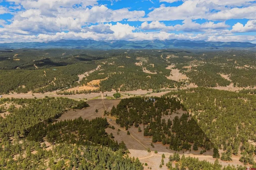 16422 County Road 31.9 Weston, CO 81082