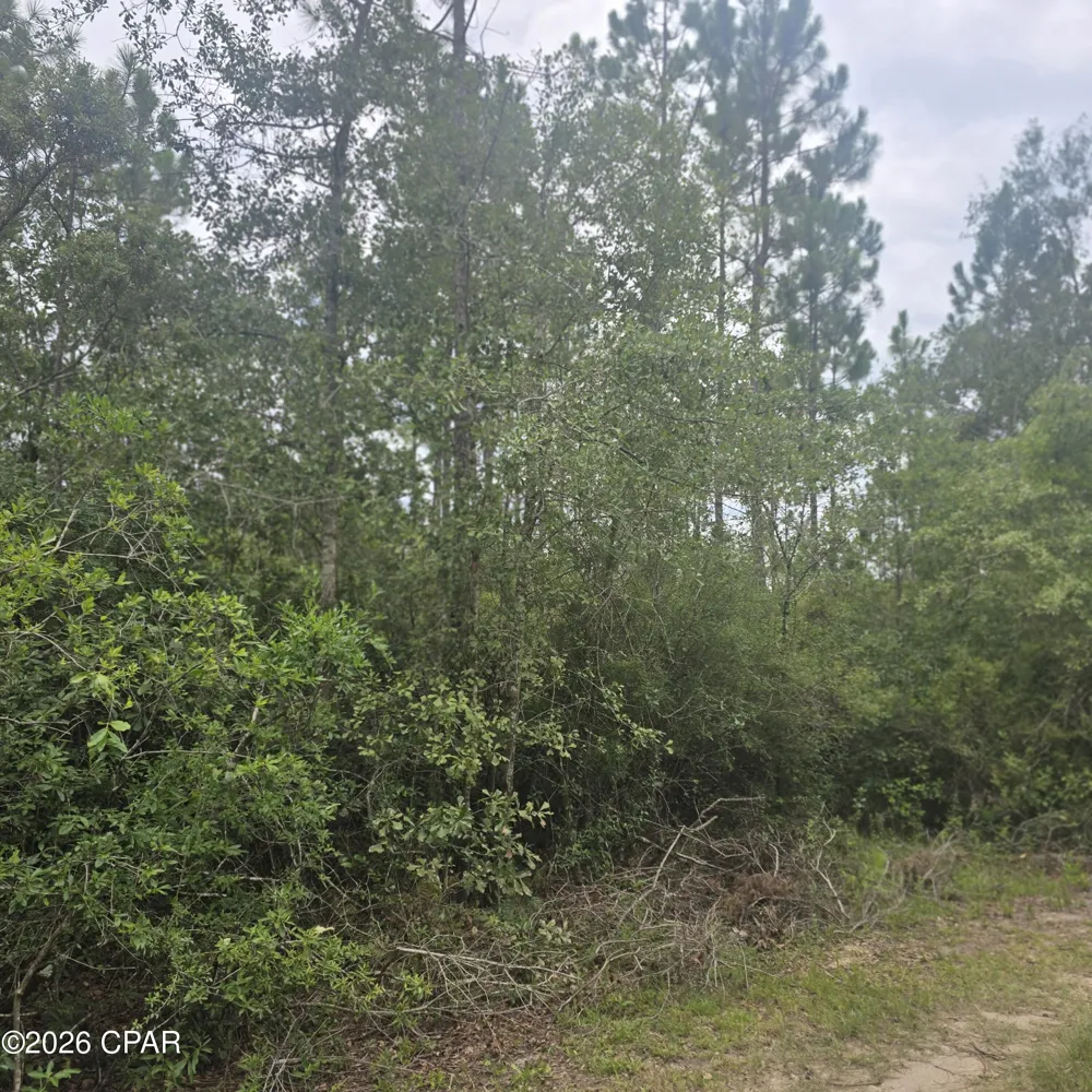 10320 River Alley Road Youngstown, FL 32466