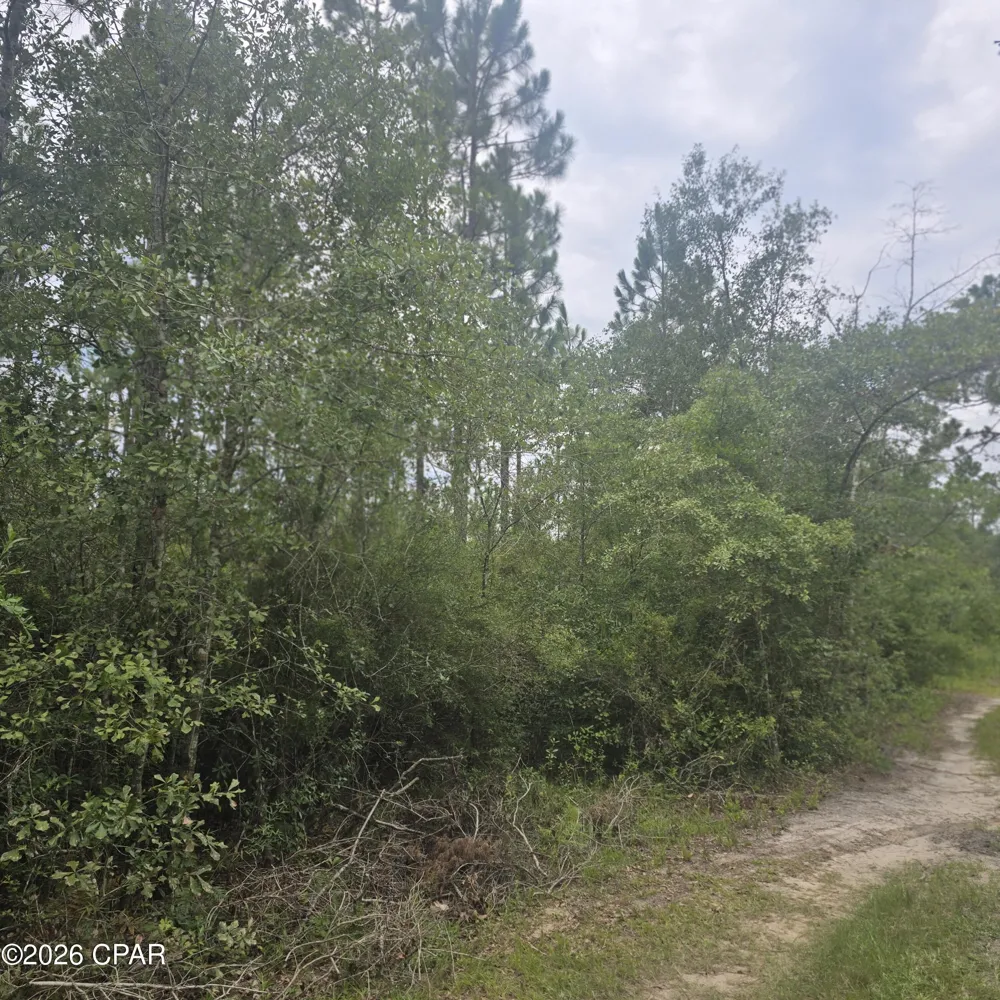 10320 River Alley Road Youngstown, FL 32466
