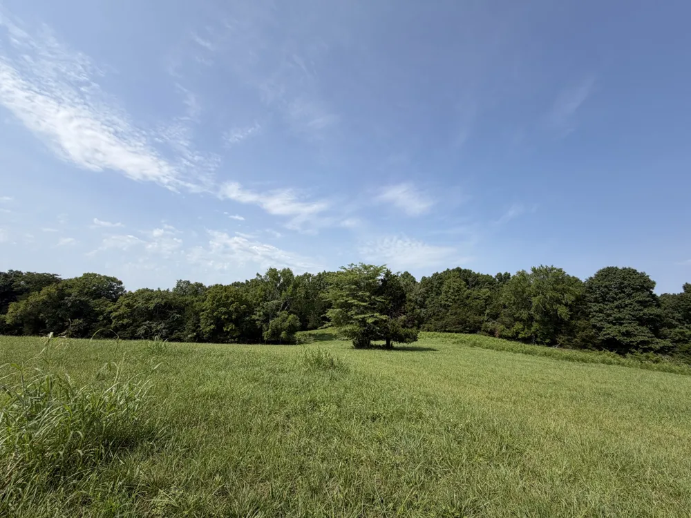 0 Flat Creek Rd Spring Hill, TN 37174
