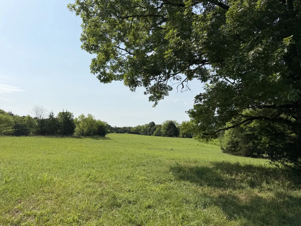 0 Flat Creek Rd Spring Hill, TN 37174