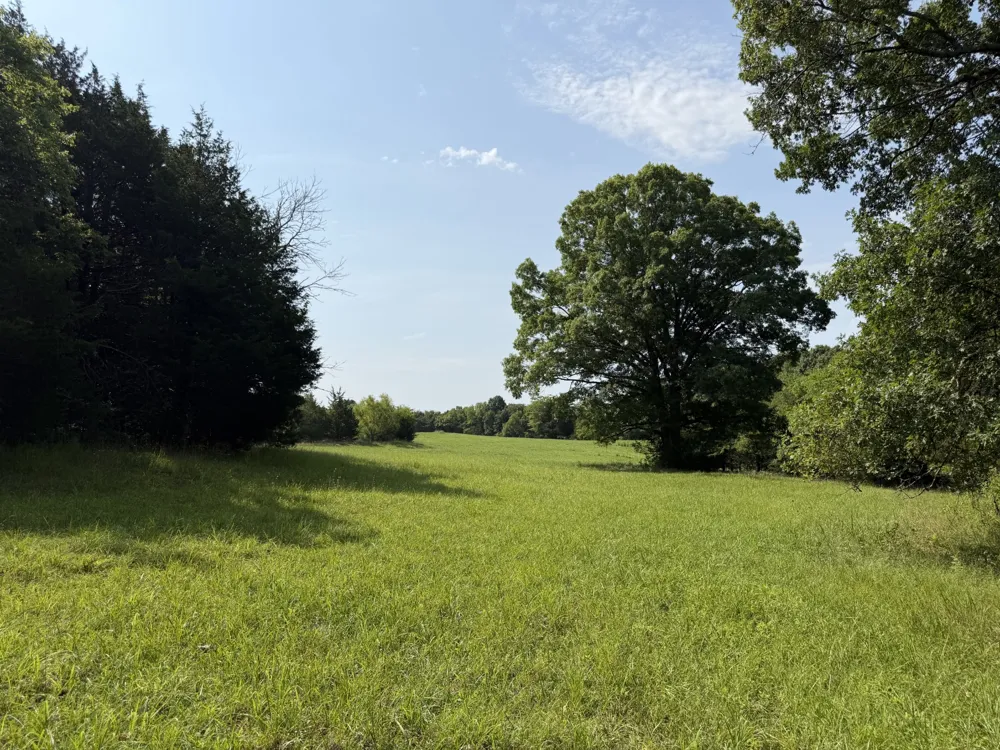 0 Flat Creek Rd Spring Hill, TN 37174