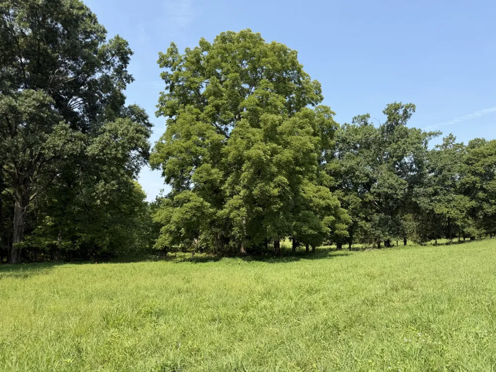 0 Flat Creek Rd Spring Hill, TN 37174